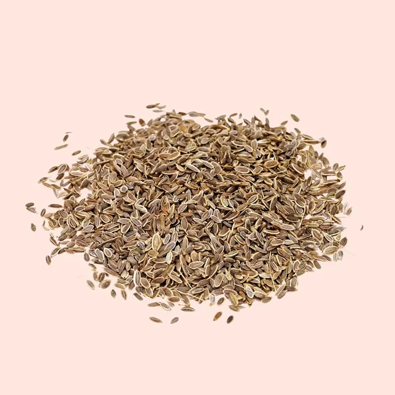 Dill Seeds — Venus Dehydrates