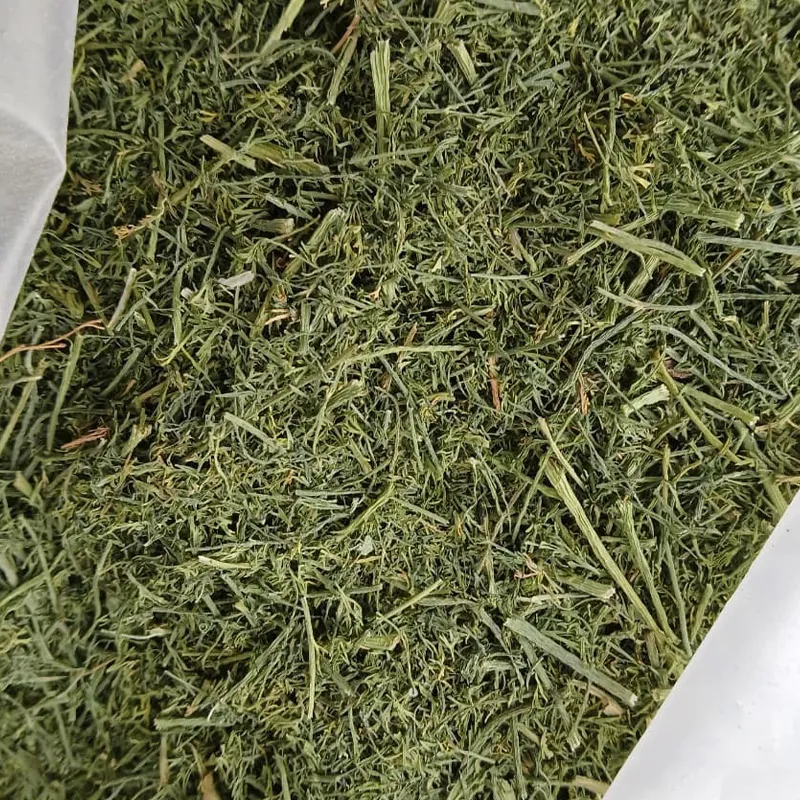 Dill Weed — Venus Dehydrates