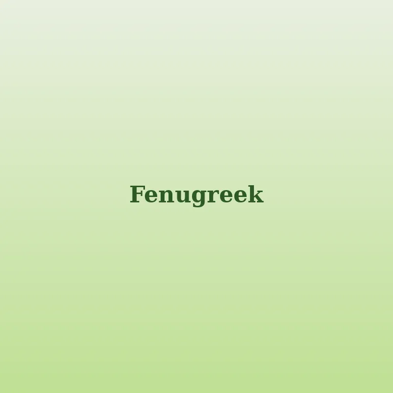Fenugreek seeds methi dana — Venus Dehydrates
