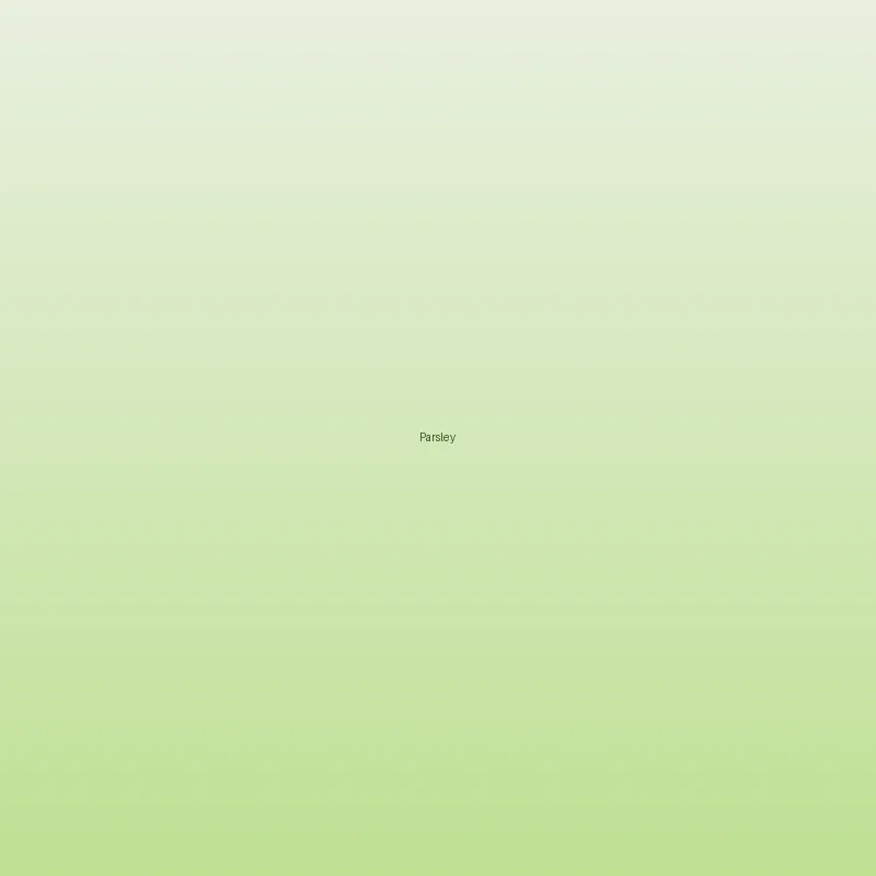 Parsley — Venus Dehydrates
