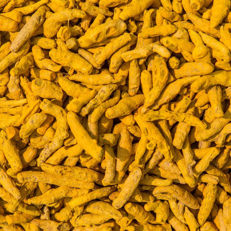 Turmeric — Venus Dehydrates
