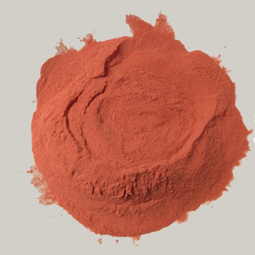 spray-dried-tomato-powder-venus-dehydrates-mahuva-ahmedabad-gujarat